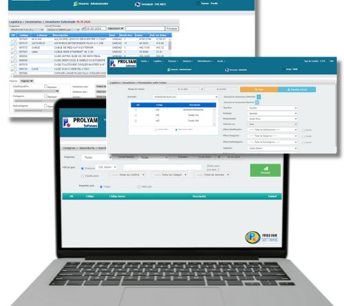 imagenes sistema de inventario prolyam