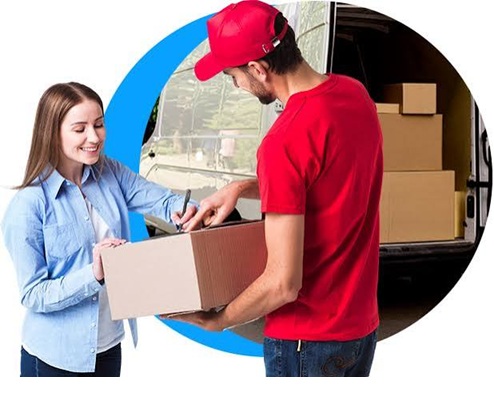 Software para Courier